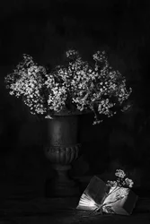 Stemningsfullt blomsterstilleben