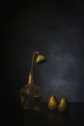 Stemningsfull lotus og pærer