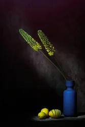Stemningsfulle gule blomster og sitroner