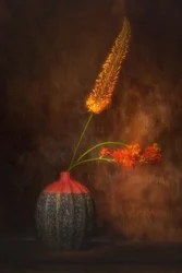Blomsterstilleben i varme toner
