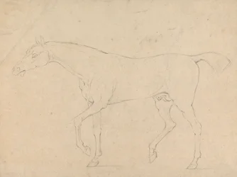 En hest