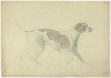Revehund (rekto); Skisser av hest og rytter (verso)