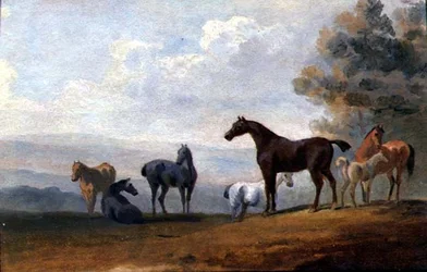 Hester (olje på panel)
