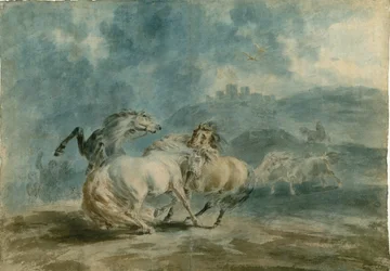 Horses Fighting (wc over grafitt på kraftig teksturlagt papir)
