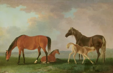 Hopper og føll (olje på lerret)