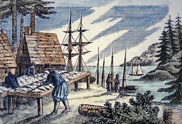 Fiskere som tørker torsk i New England, fra et tresnitt fra 1600-tallet (farge litho)