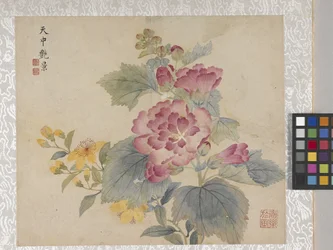 8-blads blomsteralbum, midten av 1700-tallet (blekk og farge på papir)