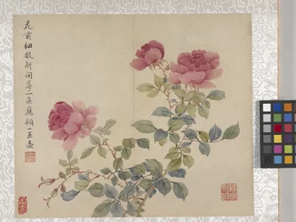 8-blads blomsteralbum, midten av 1700-tallet (blekk og farge på papir)