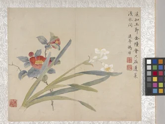 8-blads blomsteralbum, midten av 1700-tallet (blekk og farge på papir)