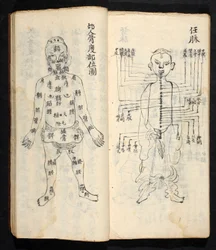 Akupunkturpunkter langs den sentrale linjen i kroppen, fra Jing Guan Qi Zhi, 