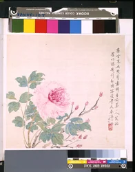 Album med blomster og fugler, ukjent dato (blekk og farge på silke)