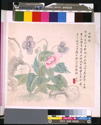 Album med blomster og fugler, ukjent dato (blekk og farge på silke)