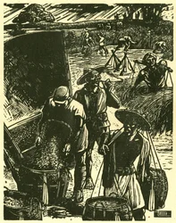 Soldater og sivile samarbeider fra Sung Ping-heng, soldater og bønder jobber sammen for å utvinne hvete. Tresnitt, i «Tresnitt fra krigstidens Kina 1937–1945», Shanghai.