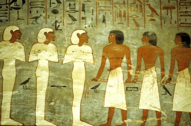 Det gamle Egypt, maleri, Ramses I#39;s grav, tre mumieformede guder, tre guder som tauer solbarken