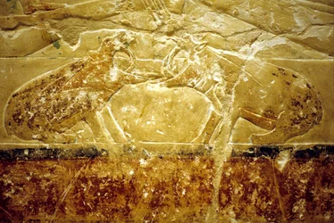 Det gamle Egypt, veggutskjæring/-maling, Mastaba/Idouts grav, Saqqara, 6. dynasti, to flodhester som slåss (bilde)