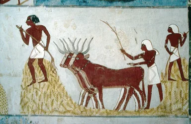 Luxor, Theben: Adelsmannens graver: Nakhts grav. Jordbruksscene. Adelsmannens dal.