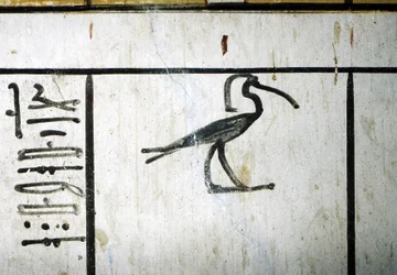 Luxor, Theben: Kongenes dal, Amenophis IIIs grav, egyptisk farao fra det 18. dynasti (-1410 - -1370).