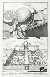 Villa til Marquis Spolverini av Verona, fra "Villaer, hager og landskap i Venezia" av A. Volkamer (gravering)