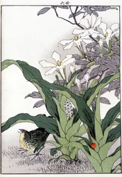 Fugl i blomstene - japansk trykk