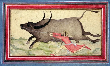 Runaway Buffalo, Johnson Album XIV, nr.11, verso, ca. 1700 (farget tegning på albumblad)