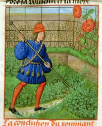 Harl 4425 f.184v Elskeren oppnår rosen, fra 'Roman de la Rose', Brugge, ca. 1490-1500 (vellum)