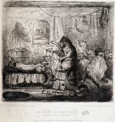 The Death of the Cat Murr (fra Hoffmanns fortellinger) - Tegning, Portugal