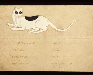 Blad fra et manuskript om siamesiske katter, tidlig på 1900-tallet (akvarell på papir)