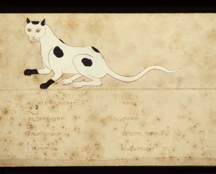 Blad fra et manuskript om siamesiske katter, tidlig på 1900-tallet (akvarell på papir)