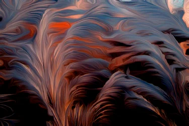 Fjær
