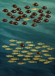 Fisk, 2010 (skrapebrett, digitalt fargelagt)