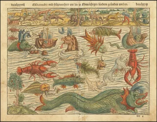 1570-utgaven av Sebastian Münsters kart over sjømonstre