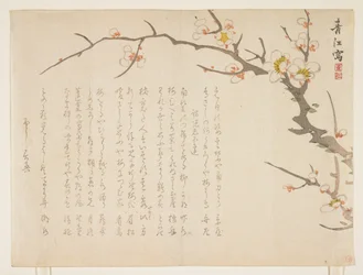 Blomstrende plomme, januar 1837 (farget treblokktrykk)