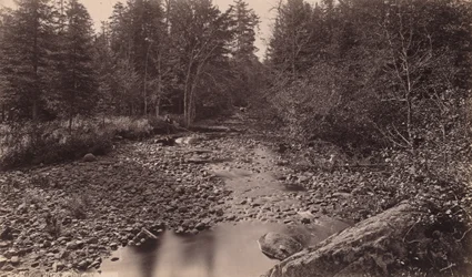 Marion River ved Bassett