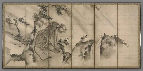 Tiger, 1500-tallet.