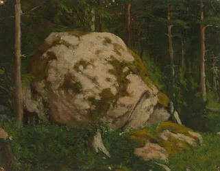 Stein