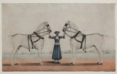 A Syce (Groom) Holding Two Carriage Horses, ca. 1845 (ugjennomsiktig akvarell på papir)