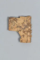 Fragment av Divining Bone (skall)