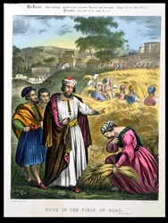 Ruth in the Field of Boaz, fra en bibel trykt av Edward Gover, 1870-tallet