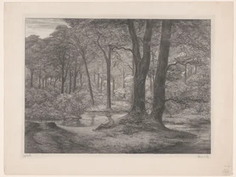 Skog med dam og liggende mann Teutoburgerskogen (skogsutsikt) (original tittel)