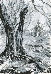 Gammelt tre, Richmond Park (akrylmalingspenner og blekk på papir)