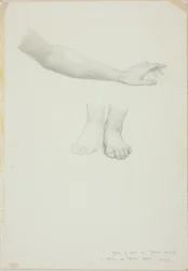 Arm og føtter, studie for Mirror of Venus