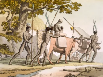 Korah Hottentots of the Cape on the move, Vol II, c1820-40.