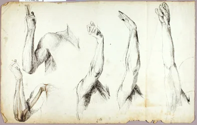 Armstudier, nr. 2
