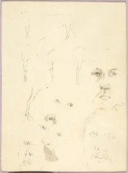 Ansikter