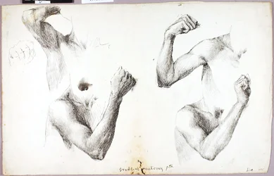 Firearmsstudier, nr. 1