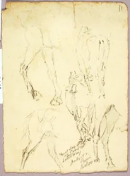 Hester