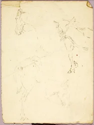 Hester