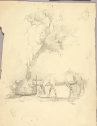 Hester og tre