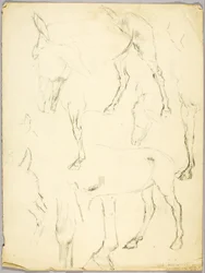 Portrettstudie, Hestestudie