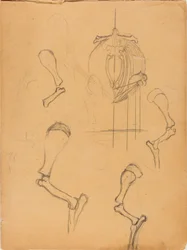 Skissebok